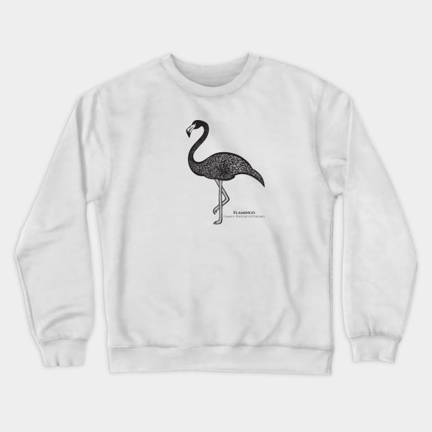 Flamingo with Common and Latin Names - detailed ink art bird design Crewneck Sweatshirt by Green Paladin